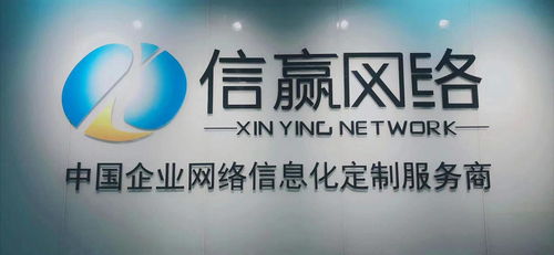 石家庄信赢网络科技 专业成就信赖，创新引领未来